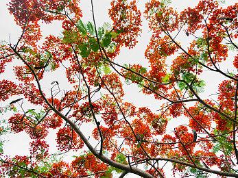 策略战棋游戏《幻灵降世录》发售 Steam多半好评