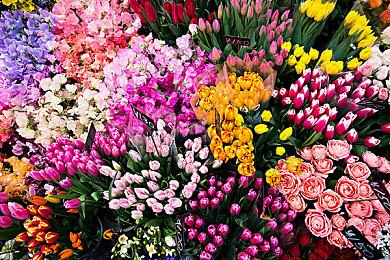 《光环：无限》开发者表示准备致力于对抗作弊