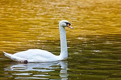 《星空》40分钟偷跑视频 9月6日正式发售